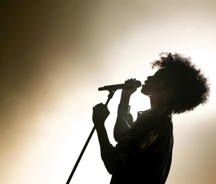 Aula de canto particular